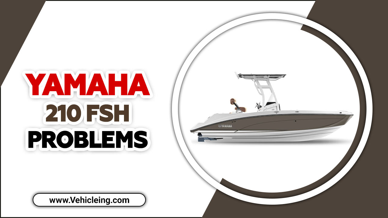 Yamaha 210 FSH Problems